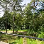 Award-winning Forest