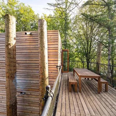 Award-winning Forest *
