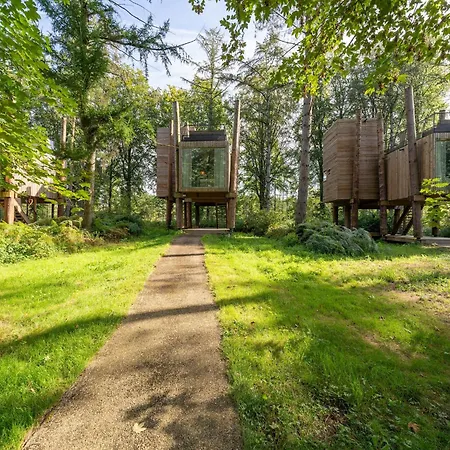Award-winning Forest Feriehus *