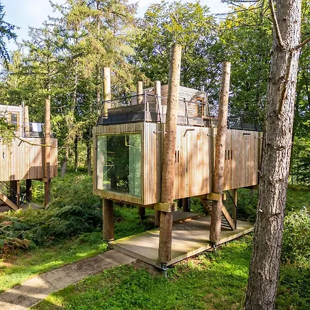 Award-winning Forest *