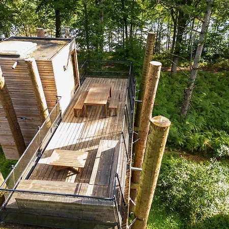 Award-winning Forest Antoing