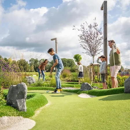 Award-winning Forest * Antoing