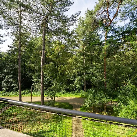 Award-winning Forest