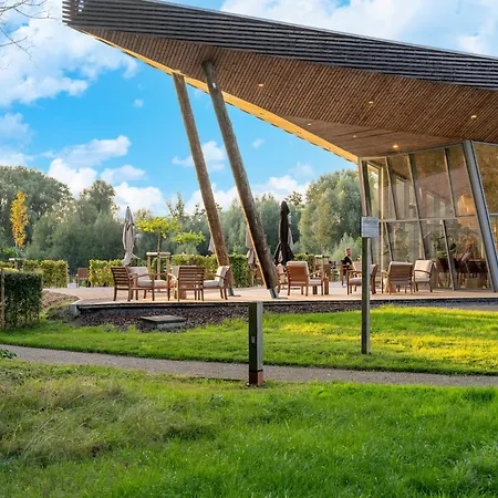 Award-winning Forest *