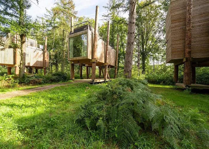Award-winning Forest Hébergement de vacances