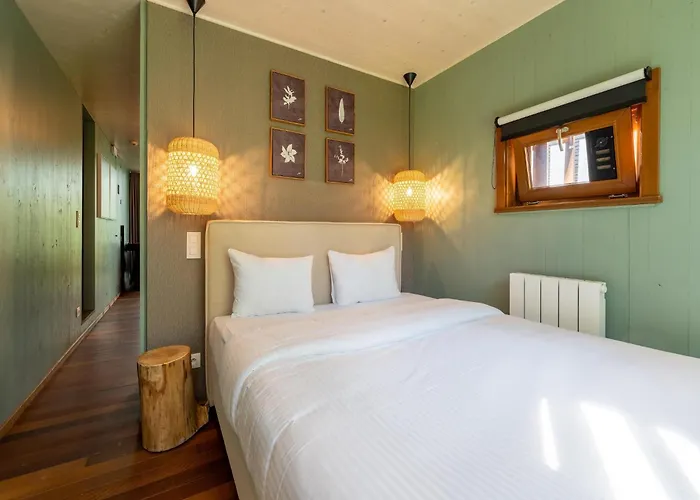 Award-winning Forest *