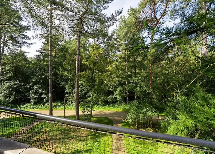 Award-winning Forest